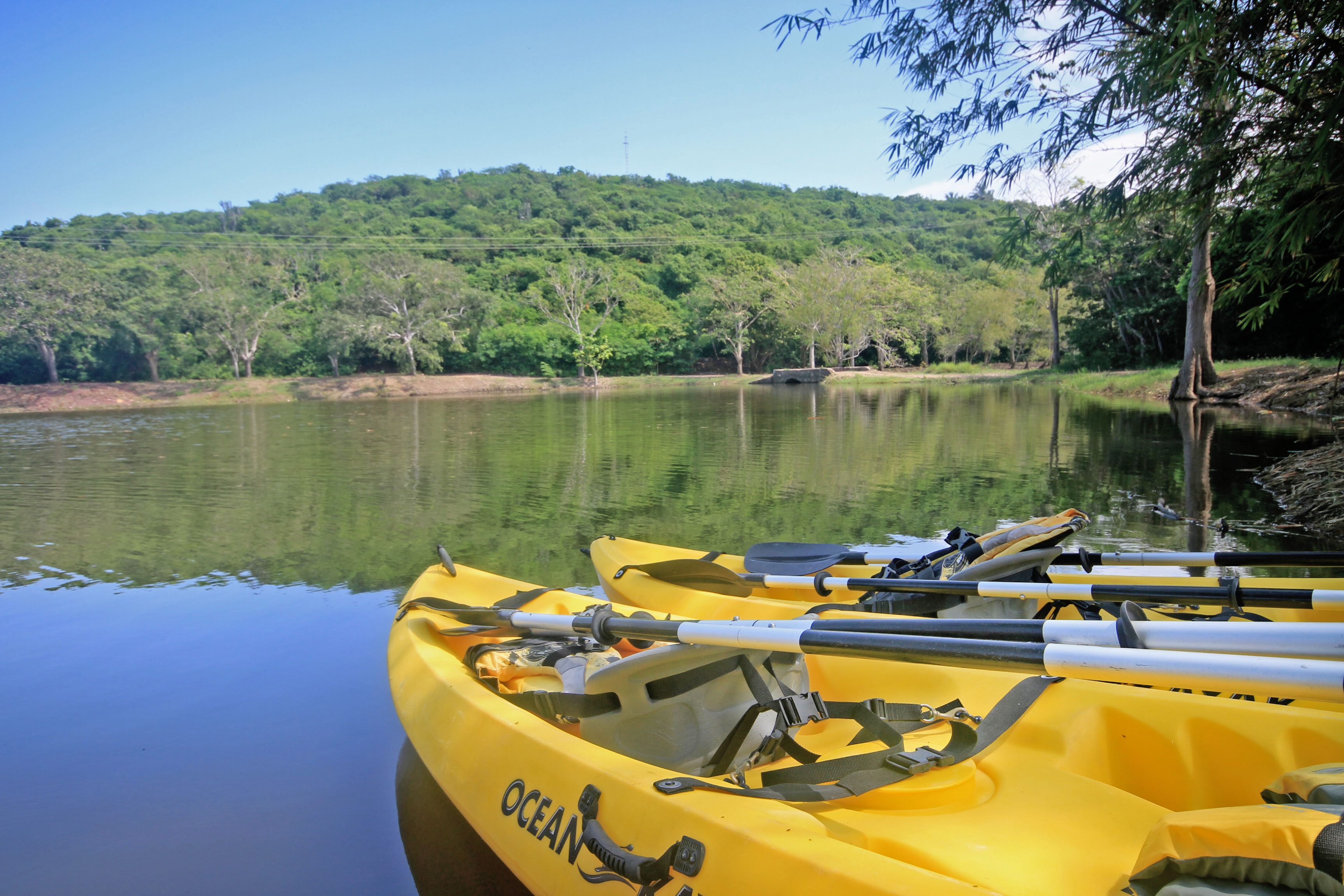 Kayaks