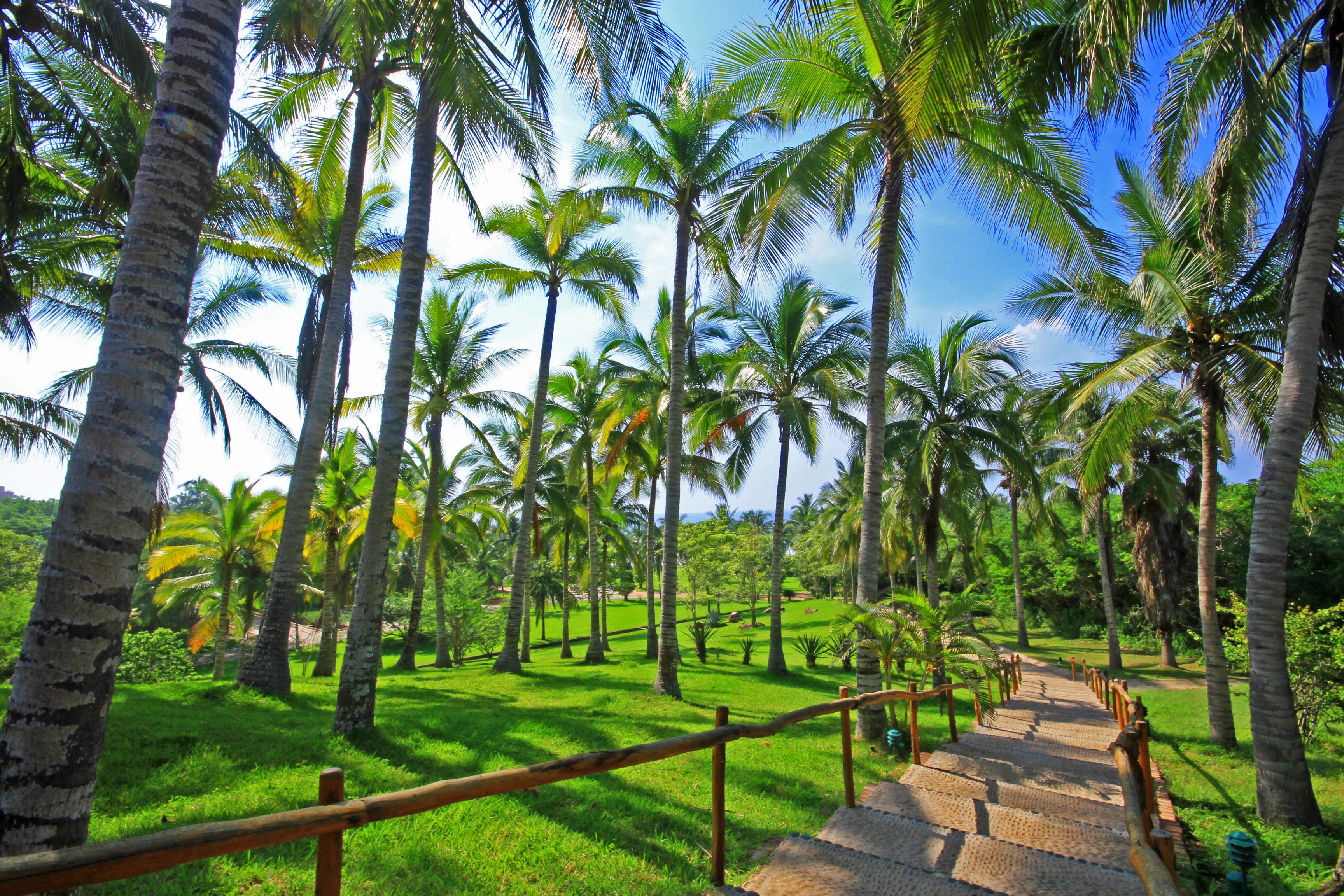 Gym Walkway